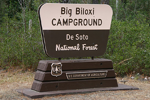 DeSoto National Forest