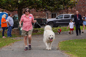 woman walking dog in park